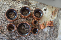 Load image into Gallery viewer, Flesh ribbed Tunnel Eisenholz Kokosholz schwarz braun plugs and tunnels of various sizes, with a dark inner ring and lighter, patterned edges, are displayed on textured tree bark.
