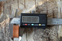 Load image into Gallery viewer, A digital caliper shows 10.30 mm when measuring the diameter of the Sawoholz Holz Flesh Plug braun Gravur Gesicht Krieger on a rough, bark-covered surface.
