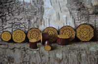 Load image into Gallery viewer, Holz Plug Blumen Wabe gold double flared

