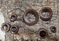 Cargar imagen en el visor de la galería, Holz Flesh Tunnel Kokosholz Inlay Tamarindenholz braun
