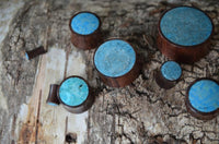 Cargar imagen en el visor de la galería, The Holz Plug Sonoholz Crushed Türkis Inlay double flared features bright turquoise inlays on smooth wood, arranged on weathered timber. Two plugs reveal the fine wood grain and turquoise tops, making them ideal for a distinctive expander look.
