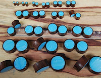 Cargar imagen en el visor de la galería, Holz Plug Sonoholz türkis schillernd Inlay Resin hellblau double flared
