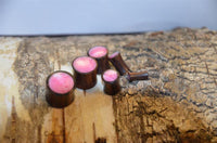 Load image into Gallery viewer, Five small, cylindrical Holz Plug Sonoholz rosa schillernd Resin Inlay double flared plugs with pink tops are arranged on a textured, light-brown tree log with visible bark and wood grain.

