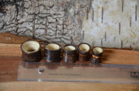 Load image into Gallery viewer, Five Holz Flesh Tunnels (Kokosnussholz dunkel, Krokodilholz hell) of different heights are lined up beside a ruler marked &quot;MADE IN GERMANY&quot; on wood, with tree bark in the background.
