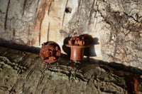 Load image into Gallery viewer, Two small, hand-carved, red-brown Holz Plug Pirat Totenkopf double flared tokens rest on rough tree bark, set against a sunlit background of textured wood and rugged bark.

