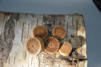 Cargar imagen en el visor de la galería, Krokodil Holz Plug Mandala Blume hell double flared
