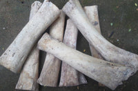 Load image into Gallery viewer, Six large Bone HornTunnel weiß schwarz gestreift double flared pieces, primarily white with black stripes, are stacked on a dark, rough surface, recalling the remnants of an ancient tribal tunnel.
