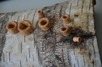 Load image into Gallery viewer, Olivenholz Flesh Tunnel double flared abgerundet Holz
