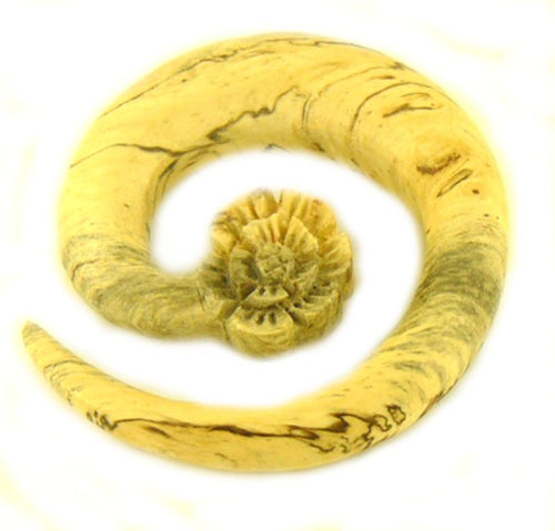 A light tan, spiral-shaped Spirale Blume Tribal Piercing Expander, hand-carved from Bananenholz with dark streaks and a detailed central flower, organic and unisex, set against a white background.
