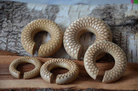 Load image into Gallery viewer, Donut Ohr Piercing Dahlie Krokodilholz Ohrgewicht
