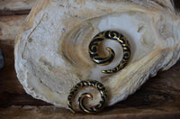 Load image into Gallery viewer, Brass Piercing Dehnschnecke Resin schwarz gold Spiralen
