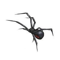 Cargar imagen en el visor de la galería, Klebetattoo temporär Spinne realistisch spitze Beine schwarz rot 1 Bogen
