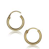 Load image into Gallery viewer, Brass Ohrringe Creolen antik golden Hoops zwei Größen
