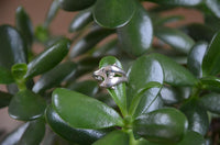 Cargar imagen en el visor de la galería, Ring Filigran Zwei Delphine 925er Sterling Silber
