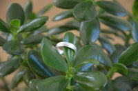 Load image into Gallery viewer, Bandring konvex gewölbt 5mm breit gebürstet 925 Sterling Silber
