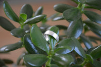 Load image into Gallery viewer, Bandring konvex gewölbt 7mm breit gebürstet 925 Sterling Silber
