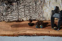 Load image into Gallery viewer, Fake Plug Piercing Edelstahl Holz Rand gold bemalt
