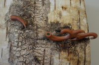 Load image into Gallery viewer, Fake Piercing Lobe Edelstahl Holz Flames Dehnschnecke
