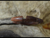 Cargar imagen en el visor de la galería, Tribal Fake Piercing Spirale Zacken Holz Edelstahl
