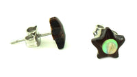 Load image into Gallery viewer, Paua Abalone Kokosnuss Holz Ohrstecker Stern 8 mm bunt Edelstahl dunkelbraun Holzohrstecker
