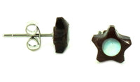 Load image into Gallery viewer, Ohrstecker Unisex 8 mm Kokosnuss Holz Edelstahl Muschel Stein Inlay rund Stern
