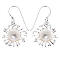 Load image into Gallery viewer, Distel Zuchtperle (1A Naturqualität) Perlenohrringe 925er Sterling Silber Ohrringe Perlen
