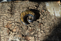 Cargar imagen en el visor de la galería, Piercing Gunmetall Brass Spirale Ohrgewicht 5mm grau gold
