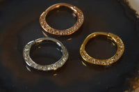 Cargar imagen en el visor de la galería, Segmentring Piercing Kristalle Edelstahl Gold PVD
