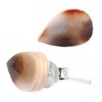 Load image into Gallery viewer, Muschel Silberohrstecker Tropfen Ohrstecker gefärbt braun weiß 925er Sterling Silber Ohrringe
