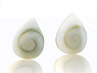 Load image into Gallery viewer, Shivaauge Ohrstecker Tropfen 12 mm 925er Sterlingsilber Shiva Auge Silberohrstecker Muschel
