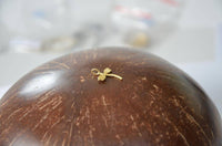 Load image into Gallery viewer, Anhänger 925 Sterling Silber vergoldet Libelle gold - chic - net.de
