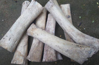 Load image into Gallery viewer, Bone HornTunnel weiß schwarz gestreift double flared - chic-net.de
