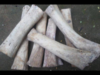 Load image into Gallery viewer, Bone Pin Creolen 63mm weiß Knochen Ohrringe Handarbeit verzierte Träne Schmuck - chic-net.de
