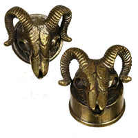 Load image into Gallery viewer, Brass Messing Plug Tunnel 3D Ramskull Widderkopf Schädel Skelett golden - chic-net.de
