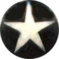 Load image into Gallery viewer, Buffalo Horn Fake Piercing, leicht gebogener Spike, schwarz mit schwarzer Kappe und weißem Stern, Ohrhänger, Ohrstecker, Ohrring - chic-net.de
