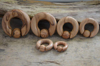 Load image into Gallery viewer, Captive Bead Klemmkugel Ring Olivenholz Piercing Dehner - chic-net.de
