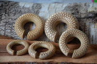 Load image into Gallery viewer, Donut Ohr Piercing Dahlie Krokodilholz Ohrgewicht - chic-net.de
