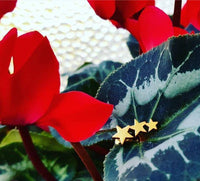 Load image into Gallery viewer, Fake Piercing Expander drei Sterne goldfarben Schraubverschluss Edelstahl - chic-net.de
