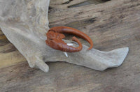 Load image into Gallery viewer, Fake Piercing Ohrring Elefant Rosenholz Bone Edelstahl - chic-net.de
