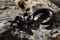 Load image into Gallery viewer, Holz Lobe Piercing Dehner dunkelbraun gewunden - chic-net.de
