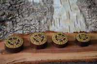 Load image into Gallery viewer, Holz Plug Auge Dreieck dreigeteilt gold double flared - chic-net.de
