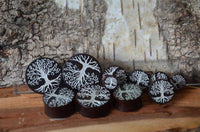 Load image into Gallery viewer, Holz Plug Baum des Lebens Yggdrasil silber double flared - chic-net.de
