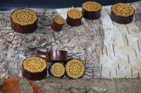 Load image into Gallery viewer, Holz Plug Blumen Wabe gold double flared - chic-net.de
