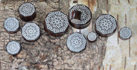 Cargar imagen en el visor de la galería, Holz Plug Blumen Wabe silber double flared - chic-net.de
