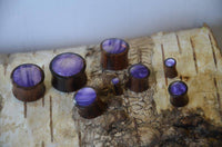 Load image into Gallery viewer, Holz Plug Sonoholz lila schillernd Resin Inlay double flared.
