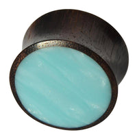 Cargar imagen en el visor de la galería, Holz Plug Sonoholz türkis schillernd Inlay Resin hellblau double flared - chic-net.de
