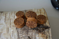 Load image into Gallery viewer, Holz Teakholz Plug Awe Helm braun double flared - chic-net.de
