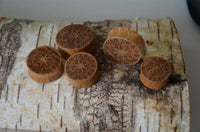 Load image into Gallery viewer, Holz Teakholz Plug Ornament braun double flared - chic-net.de
