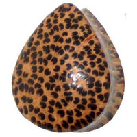 Load image into Gallery viewer, Holzplug Träne Kokosholz braun Muster schwarze Punkte handgeschnitzt Tribal Holz Plug Tunnel - chic-net.de
