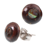 Load image into Gallery viewer, Kokosnuss Holz bunt Abalone Muschel Ohrstecker Edelstahl nickelfrei Holzohrstecker - chic-net.de
